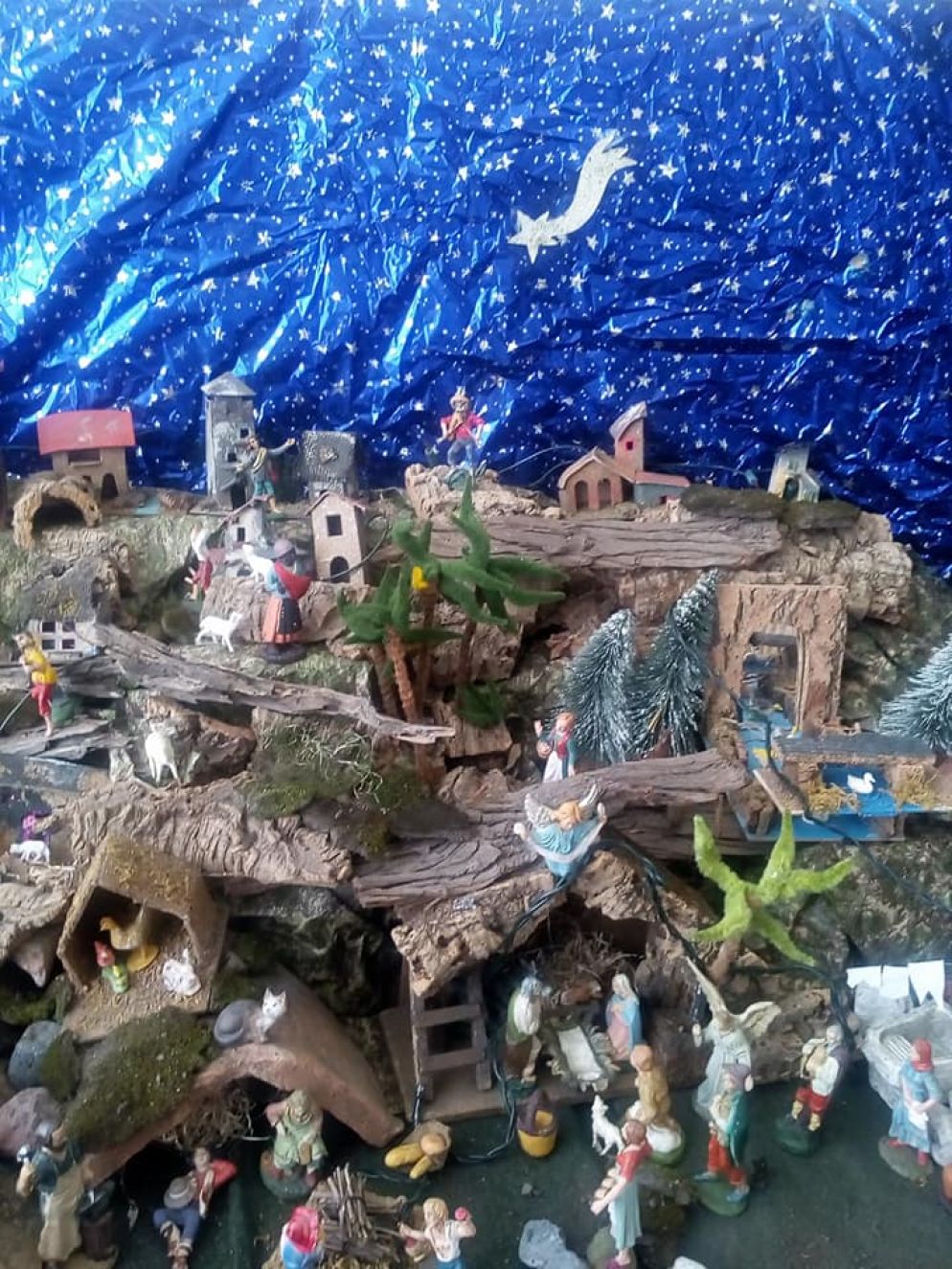 Postato da Rita Damanti