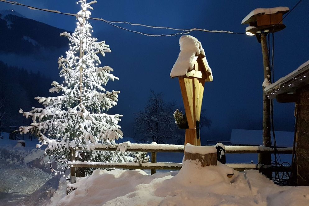 Alcuni dei presepi esposti sono scavati nel legno che viene raccolto nella pineta intorno al fiume Sarca, altri sono realizzati con materiale di recupero, altri al tombolo, con pigne secche, o ricevuti in prestito da collezioni private