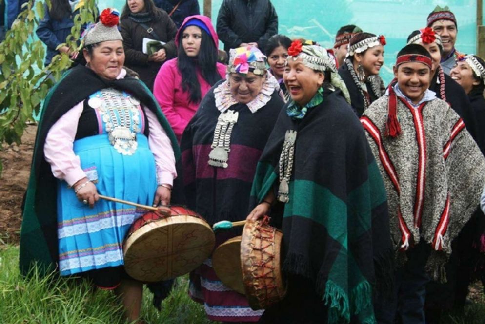 I mapuche a Temuco