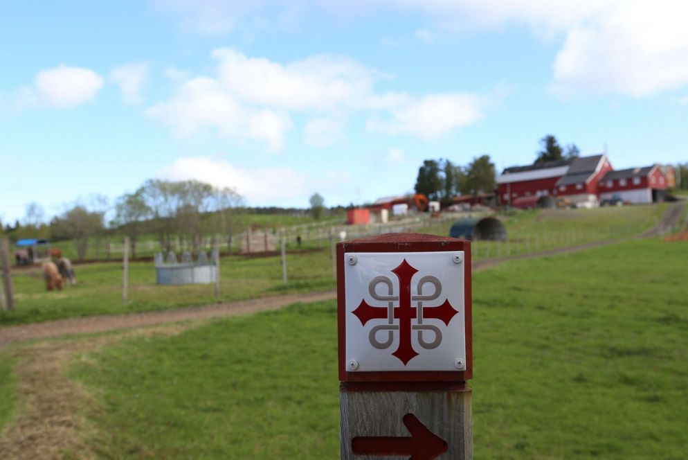 Un punto del cammino di sant'Olav (©Piergiorgio Pescali)