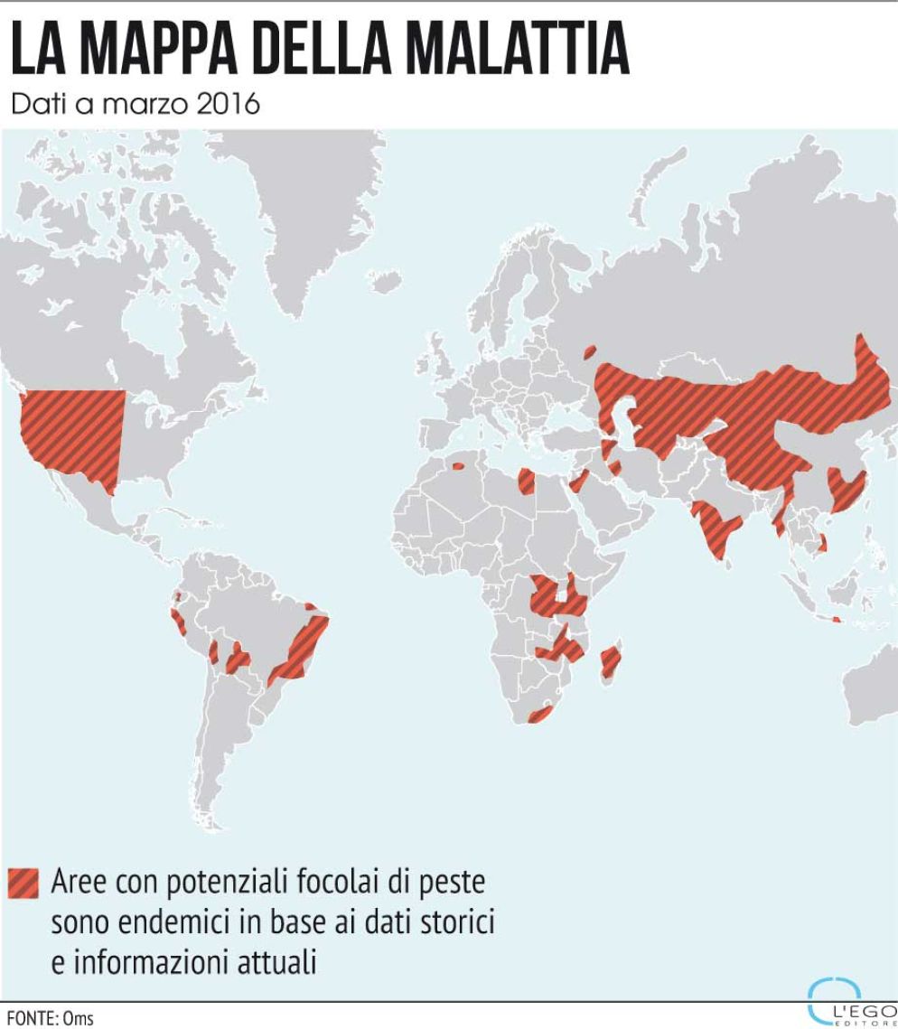 Nel Madagascar l’emergenza peste non dà tregua: la malattia è endemica, ma per le condizioni atmosferiche crescono le vittime e i contagi. In particolare le alluvioni, che quest’anno hanno colpito pesantemente l’isola