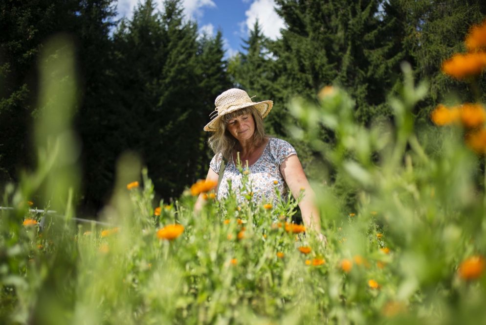 (foto di Graziano Panfili)
