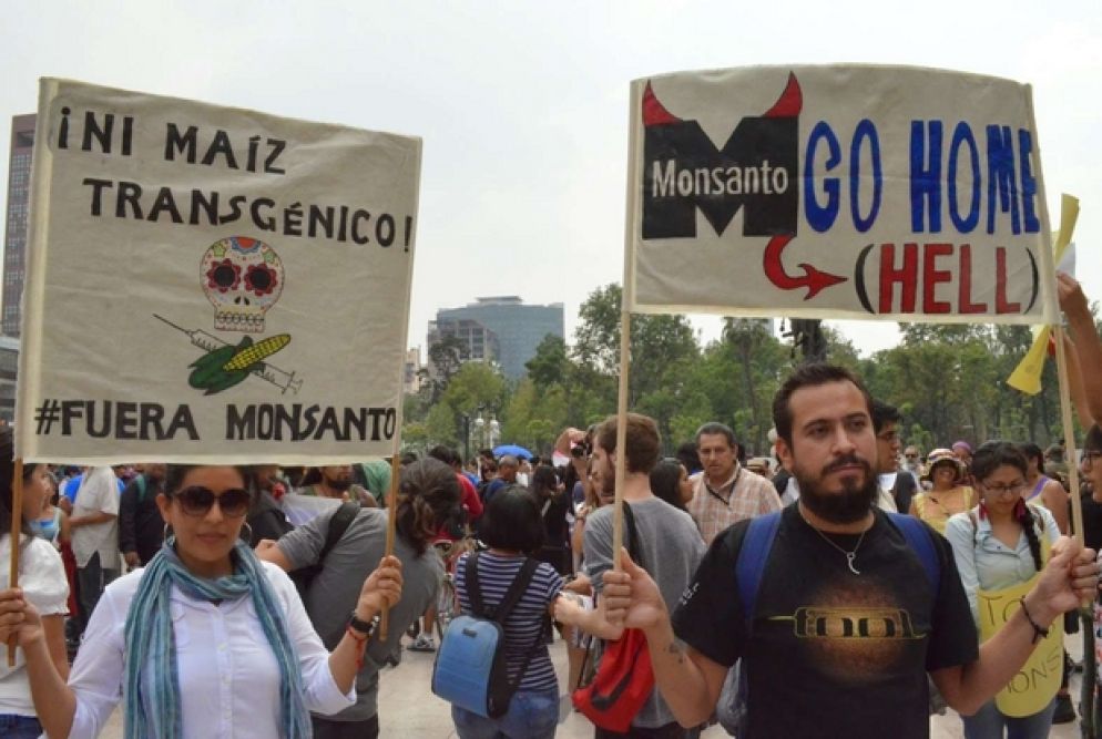 I movimenti messicani contro gli Ogm