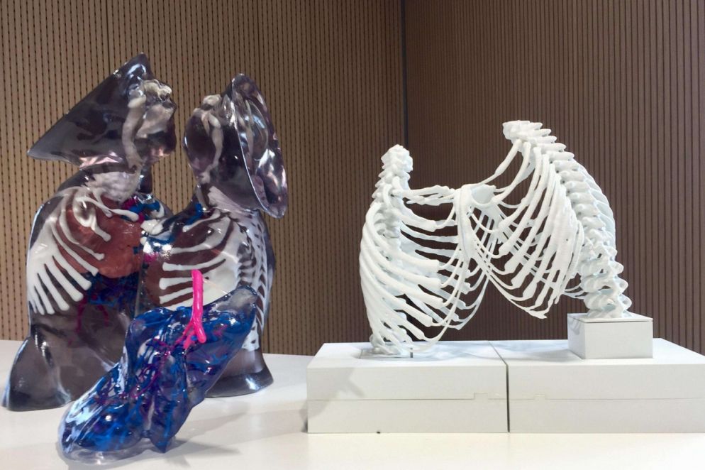 Le stampe in 3 D degli organi