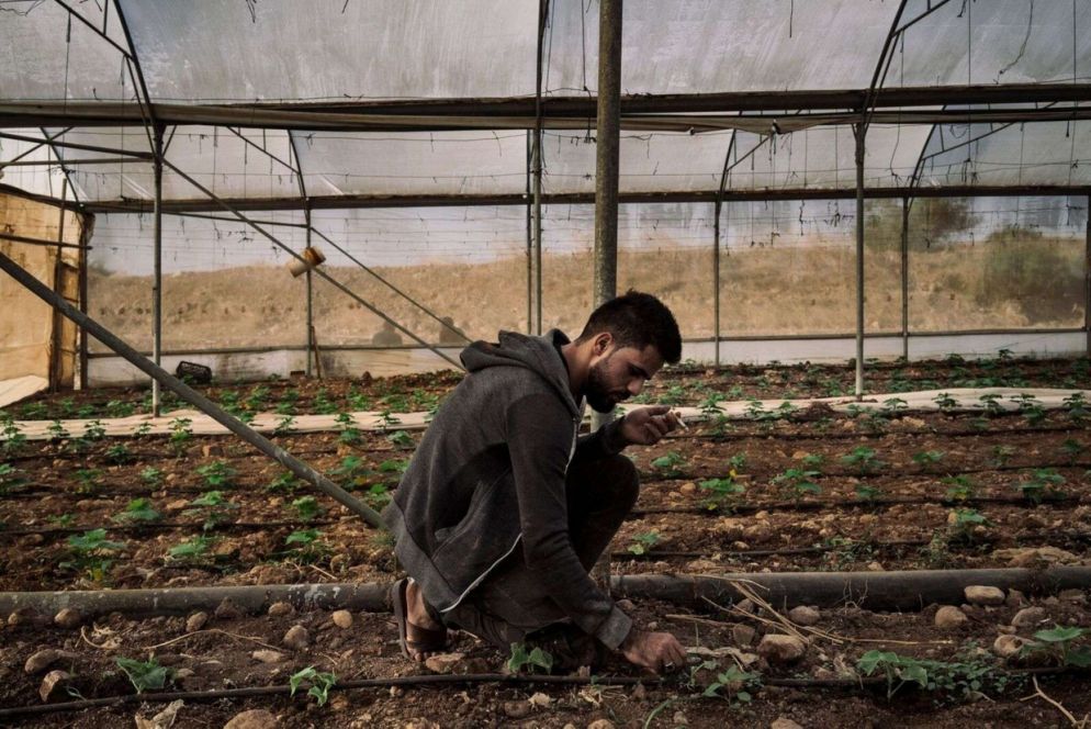 Ritratti di giovani nel Territorio Occupato Palestinese