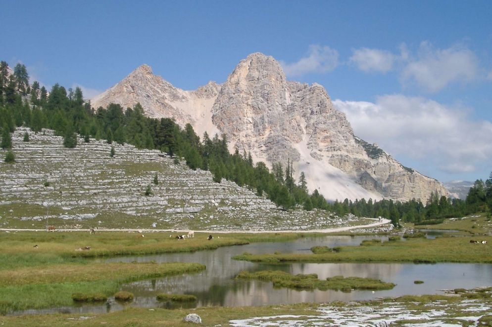 Il "parlamento delle marmotte" nella Val di Fanes, nei pressi di San Vigilio di Marebbe (WikiCommons)