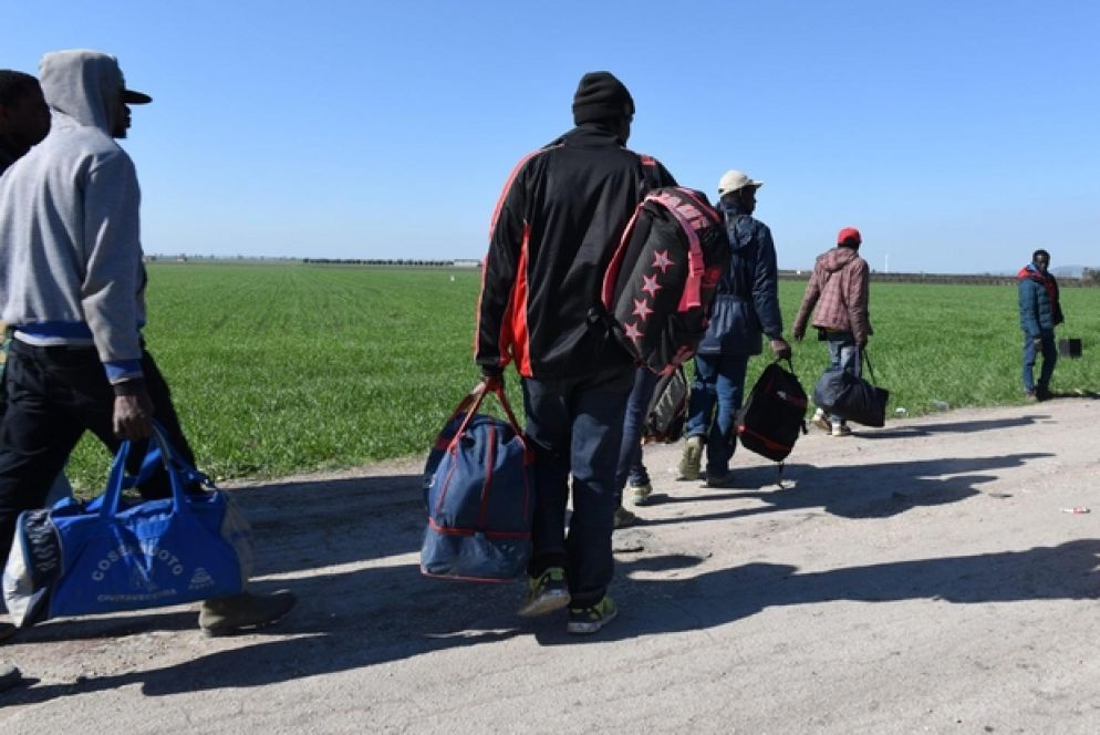 Alcuni profughi in fuga dal "Gran Ghetto" nei mesi scorsi, dopo lo sgombero avvenuto a seguito del rogo di un anno fa. In realtà, negli ultimi mesi, con l’arrivo delle roulotte in molti sono tornati a lavorare nei campi (Ansa)