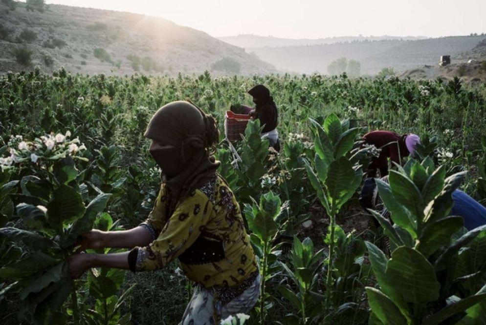 Foto: di Lorenzo Tugnoli