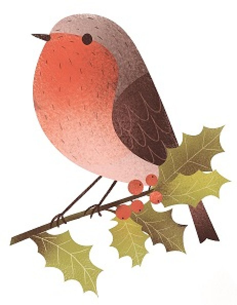 Il pettirosso Pitti, coraggiosa guida delle classi primarie che seguono il metodo analogico di Camillo Bortolato