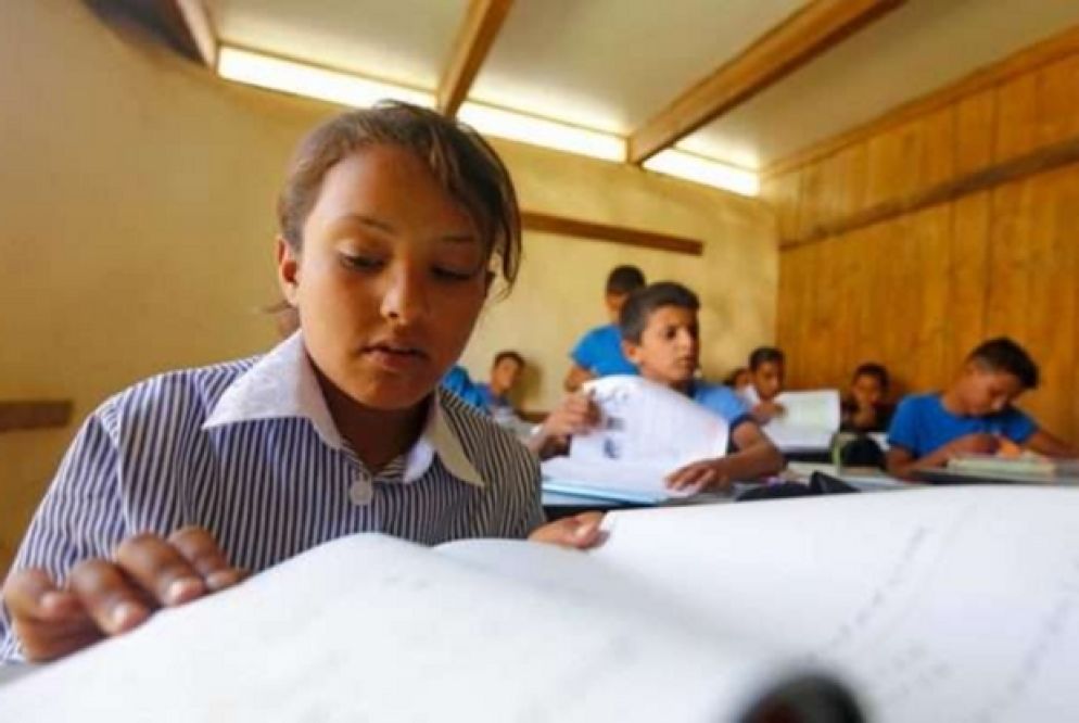 (Tutte le foto sono della ong "Vento di terra")