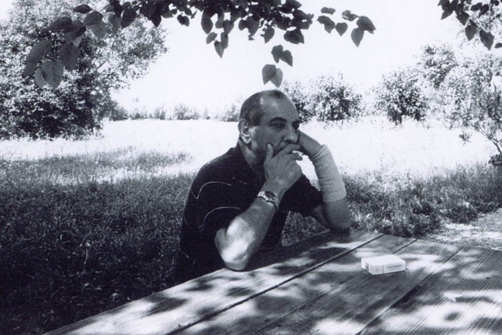 Vicentino - Goffredo Parise