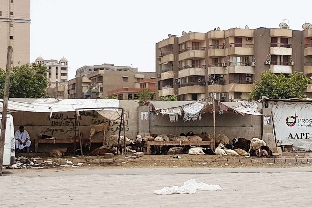 Il Cairo, nei pressi del governatorato di Mansheya Nasir (Raul Gabriel)