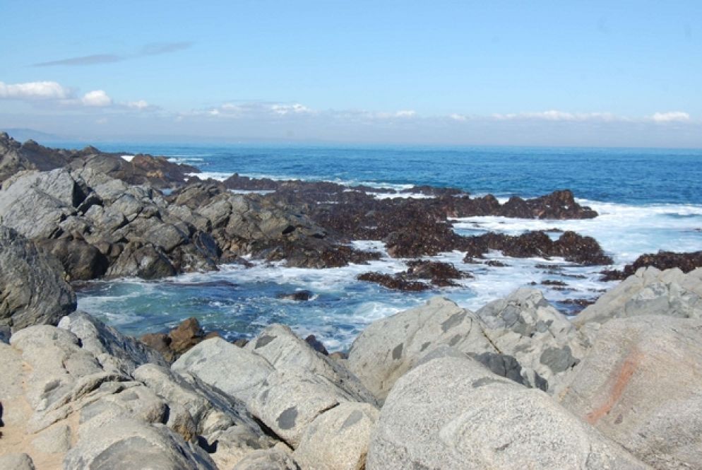 La scogliera di Isla Negra (Maurizio Fantoni Minnella)