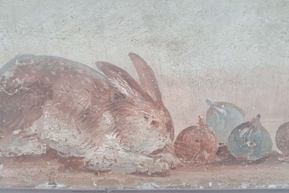 Pompei, affresco con coniglio (45-79 d.C.)