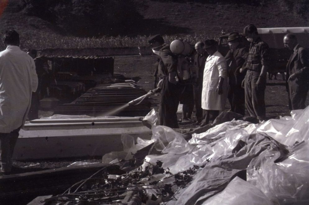 Le salme recuperate vennero lavate con gli idranti, per poi procedere ai riconoscimenti, dal docufilm “Vajont per non dimenticare”