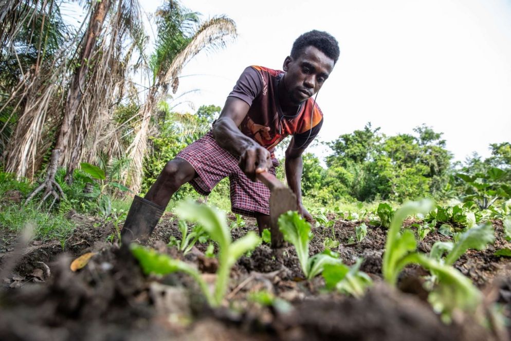 Un progetto di sostegno per le popolazioni dell'Africa - .