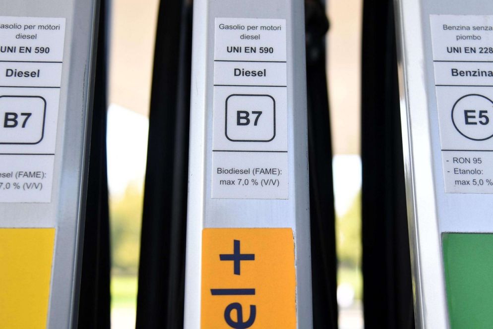 Le nuove etichette (Ansa)