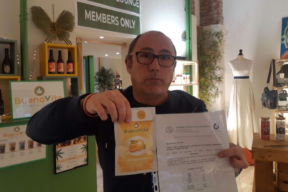 il titolare del cannabis store milanese Buena Vita, Giorgio Biondi, mostra le analisi effettuate dall’Università degli Studi sulla canapa in vendita nel negozio