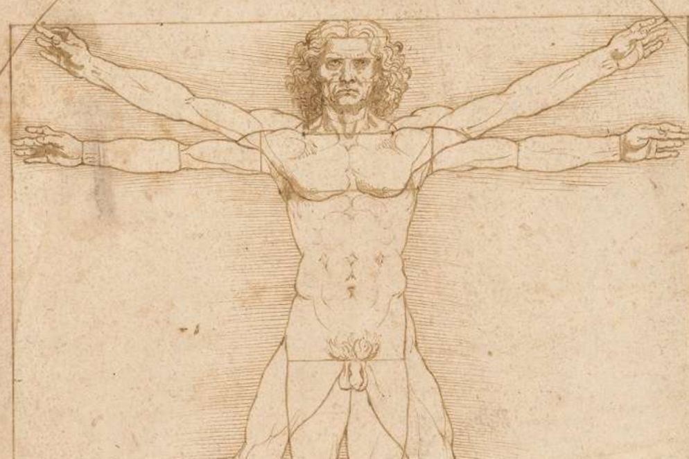 "L'umo vitruviano" di Leonardo da VInci, in mostra alle Gallerie dell'Accademia a Venezia