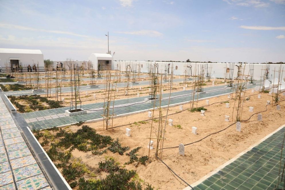 Il “Giardino africano” è composto da una tradizionale porta del XVII secolo, decine di navate in ceramica dipinta a mano e, sotto un'armoniosa cupola bianca, una sala di preghiera per tutte le religioni.