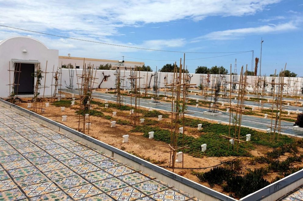 Le 200 tombe bianche si susseguono, allineate, numerate. "Donna vestito nero, spiaggia Hachani" o "Uomo maglia nera, spiaggia Hotel 4 stagioni": le iscrizioni sopra sono riassuntive.