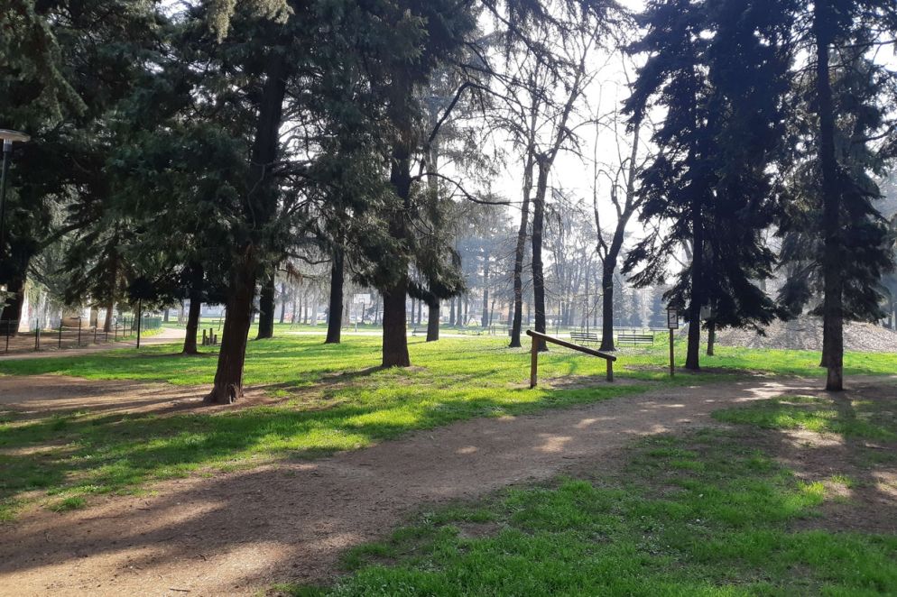 Il parco Rivolta a Bresso - Francesco Riccardi