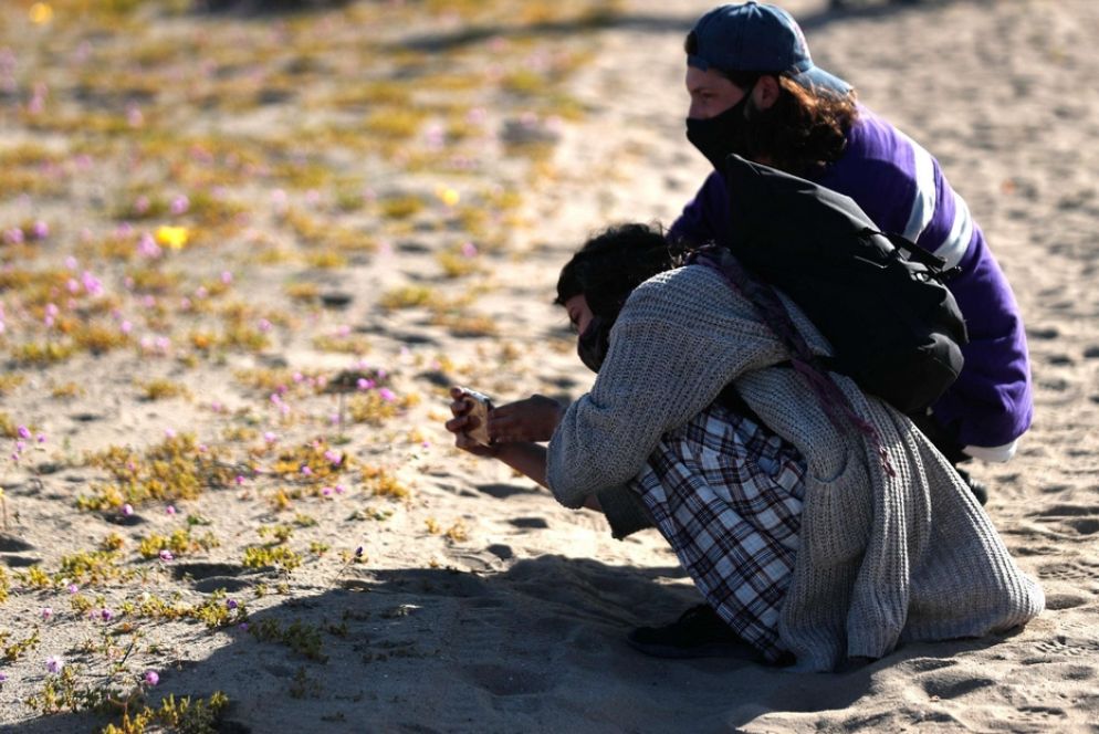 I fiori nel deserto - Ansa