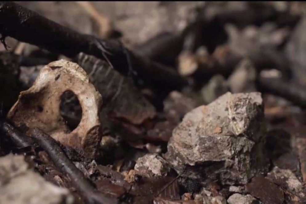 I resti delle vittime infoibate - Foto fornita in conferenza stampa