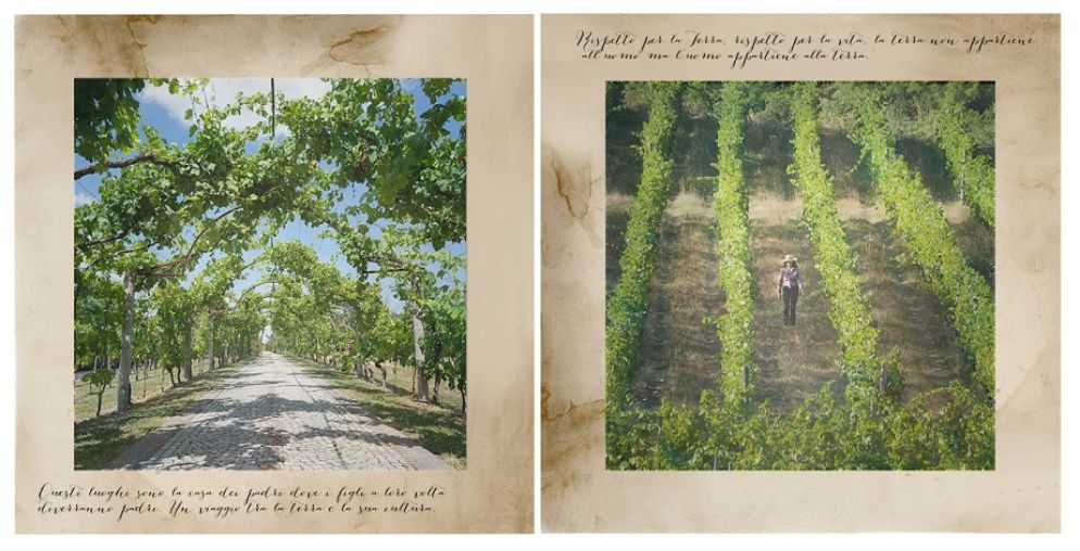 Uno dei dittici "Tra cielo e terra" per il concorso fotografico "Esplorare Gavi" - Loredana Mantello