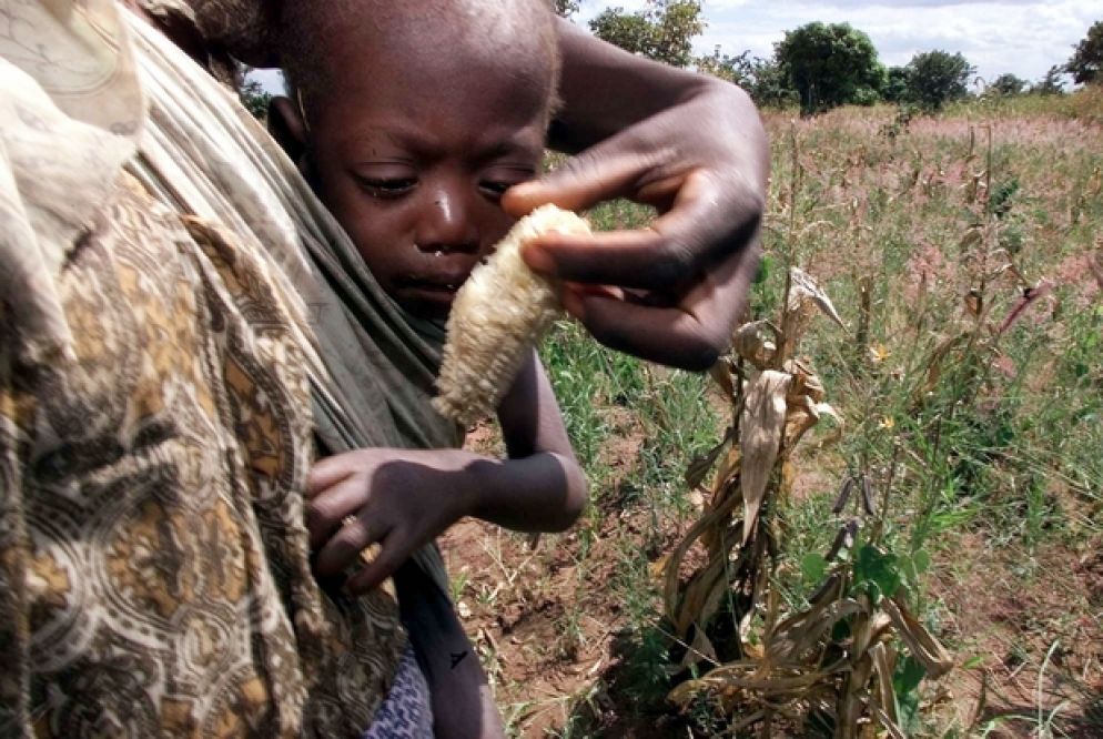 la siccita, nella regione del Corno d'Africa, ha distrutto buona parte dei raccolti (Ansa/Ap)