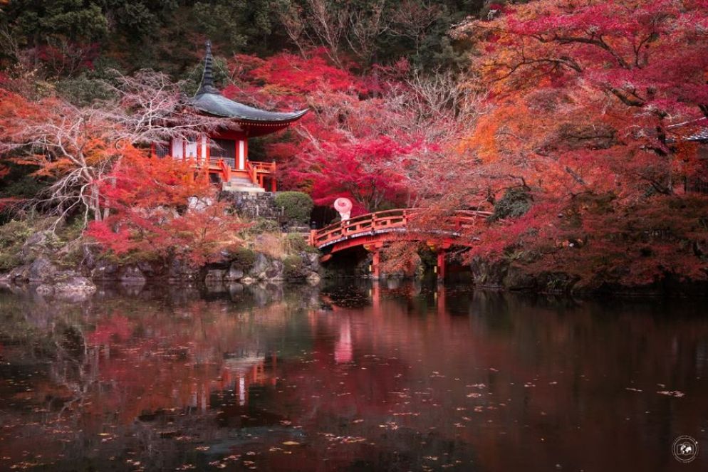 Kyoto e la bellezza infuocata dei Momiji