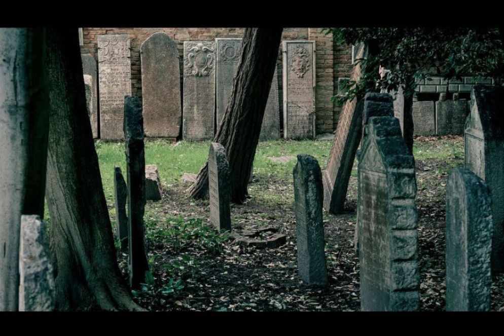 Da "Zohar" (Skira) di Francesco Maria Colombo: Da "Zohar" (Skira) di Francesco Maria Colombo: Venezia, Cimitero ebraico del Lido, 2023