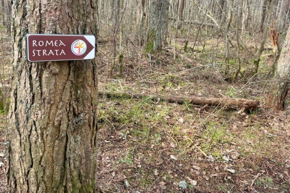 Ingresso nella foresta di Männiku