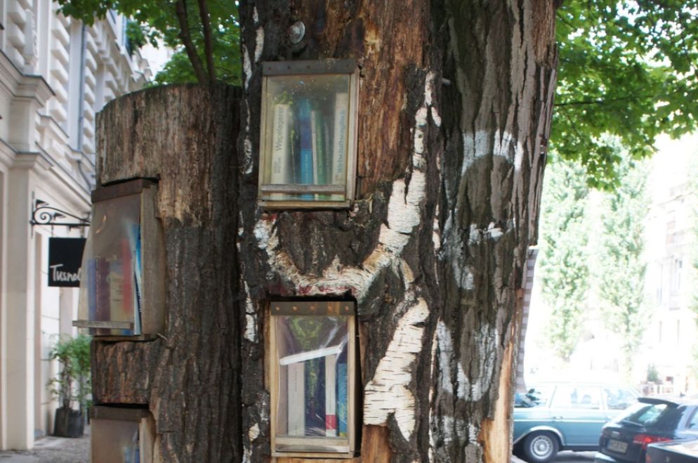 In una strada di Berlino, le cavità di un albero secolare ospitano i libri da leggere. Le antine realizzate con teli di plastica li riparano dalle intemperie