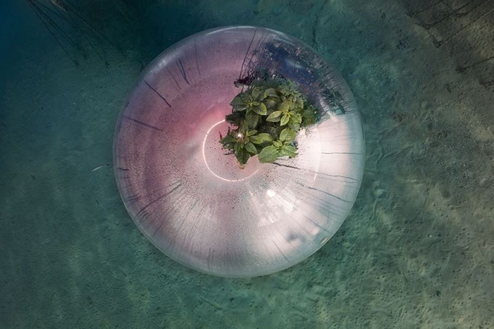Biosphere Underwater, Farming #3, Italia, 2021. Si tratta del primo esperimento al mondo di agricoltura subacquea, situato a Noli, in Liguria. Il progetto è nato nel 2012 per ricreare le condizioni ideali di coltivazione del basilico