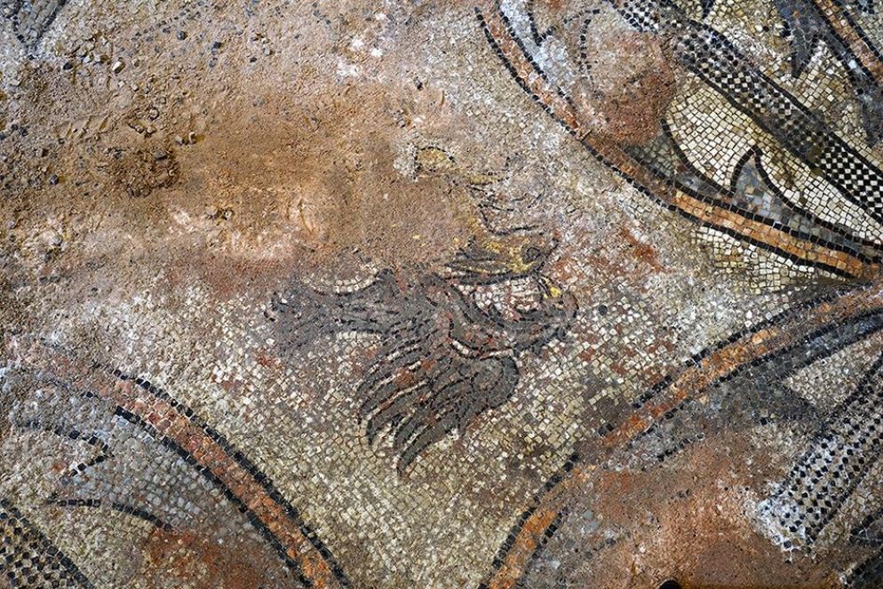 Perdite di superficie musiva nel pavimento dell'altare del Santissimo Sacramento - Procuratoria di San Marco