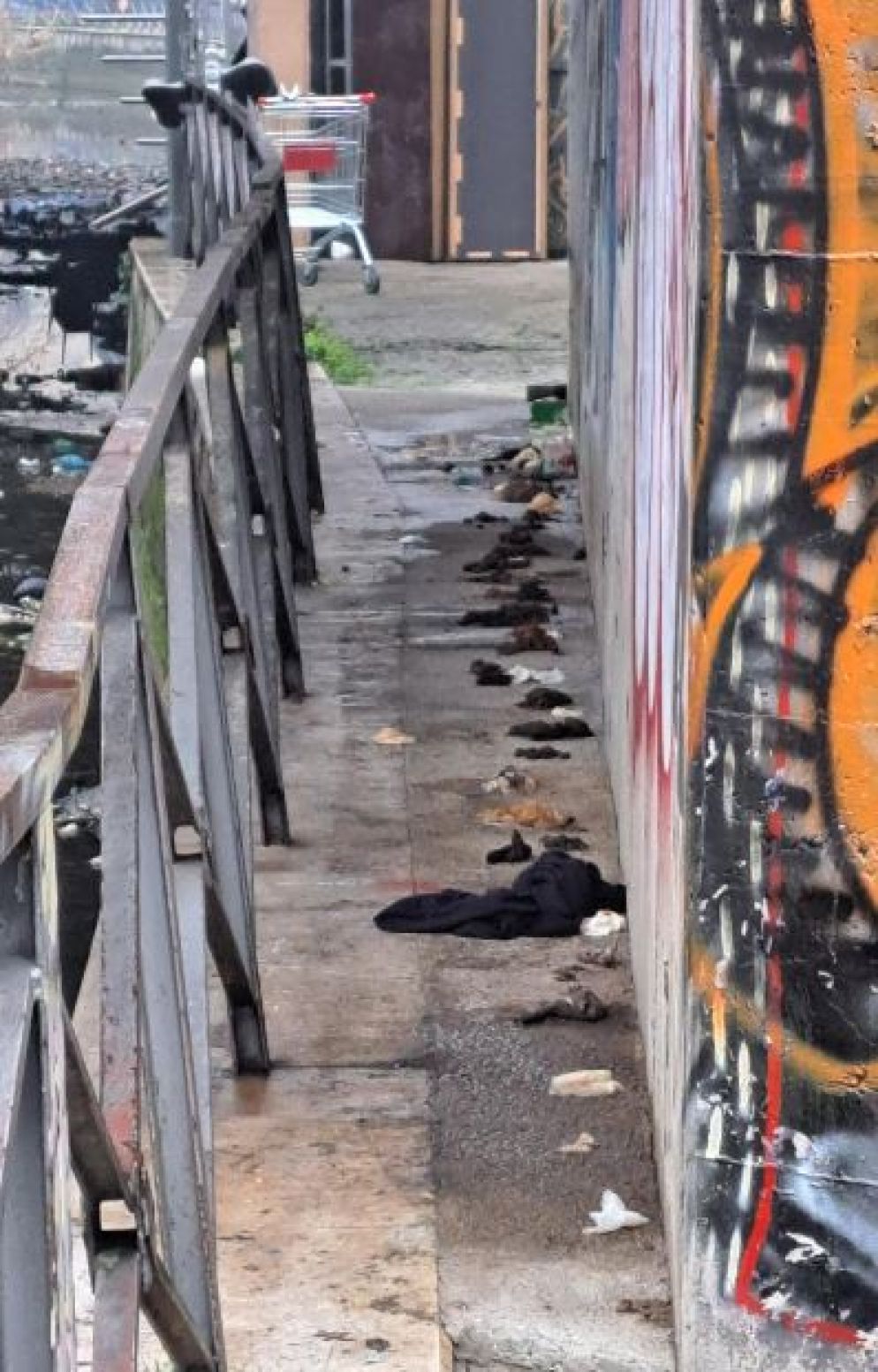 Escrementi e un carrello lungo la Martesana - Foto Bellaspiga