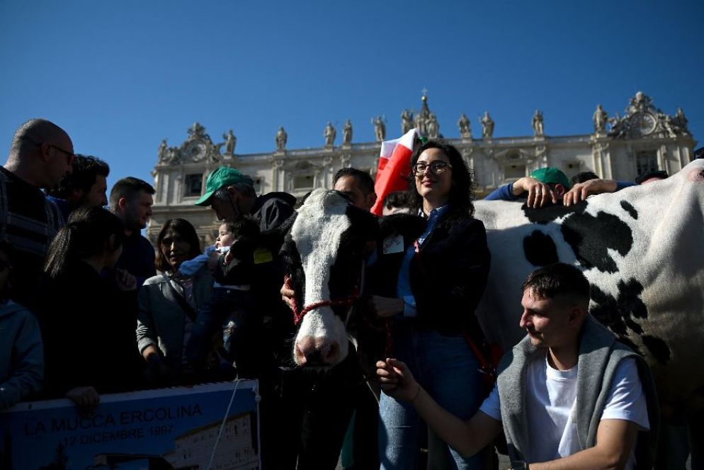 Un gruppo di allevatori in Piazza San Pietro - Ansa