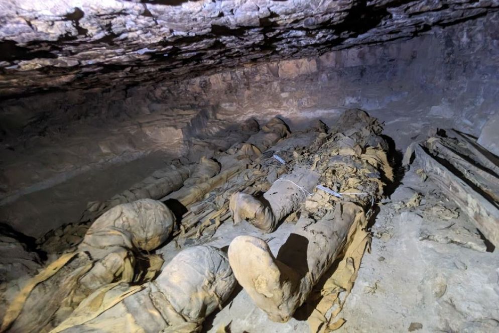 Mummie - Università degli Studi di Milano