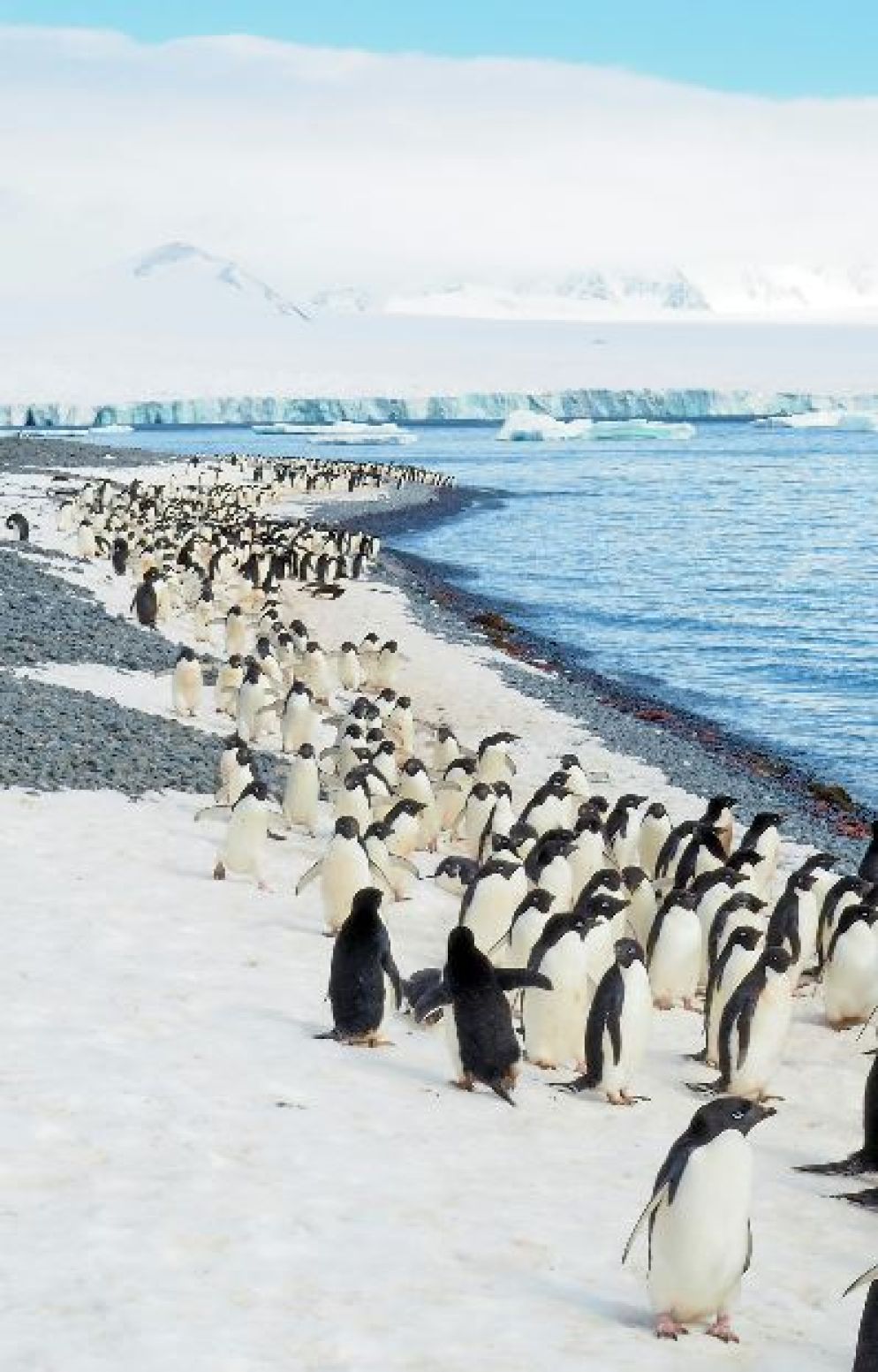 La costa dell'Antartide - Tam Minton/Unsplash