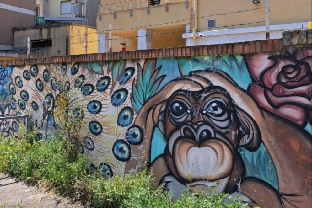 Un murales a Mestre sormontato dal filo spinato - Web