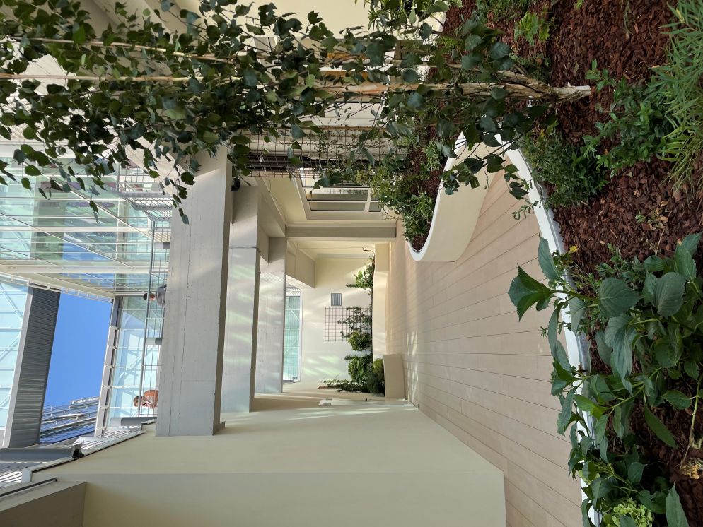 Il giardino del reparto di radioterapia dell'ospedale di Verduno, in Piemonte