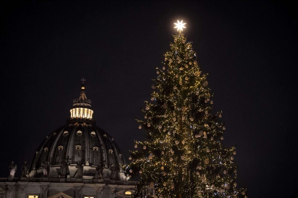 L'albero di Natale in piazza San Pietro - Cristian Gennari / Siciliani