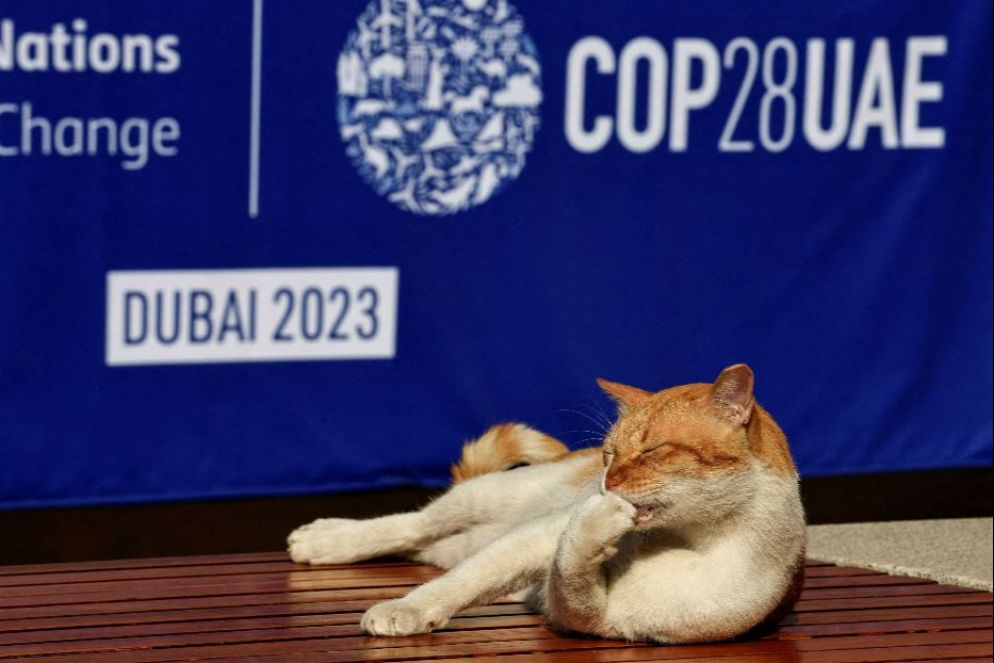 La Cop28 di Dubai ha lanciato segnali di speranza - Reuters
