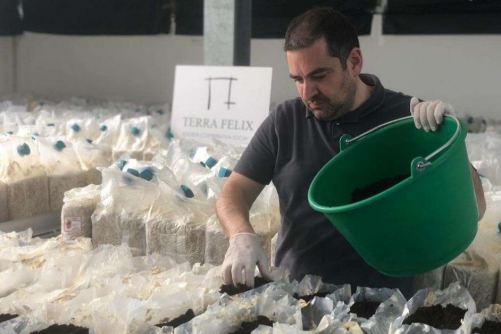 Un operatore della coop «Terra Felix» - .