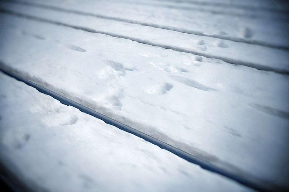 La stazione del Brennero è il passaggio obbligato dei profughi che si nascondono nei convogli - .