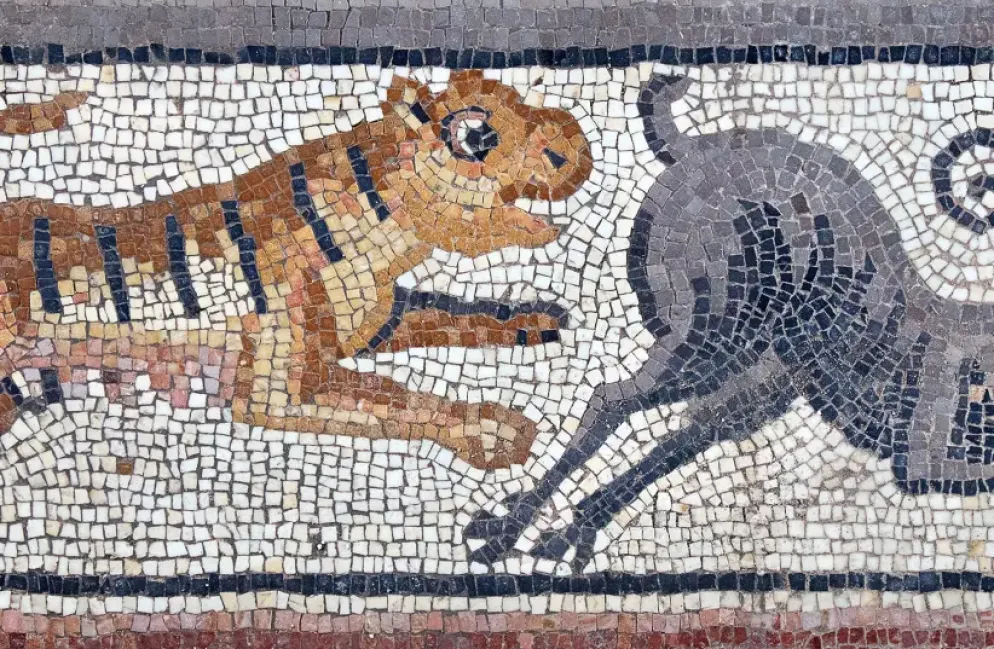 Tigre che insegue uno stambecco, dal mosaico dell'iscrizione nella sinagoga di Huqoq - Jim Haberman