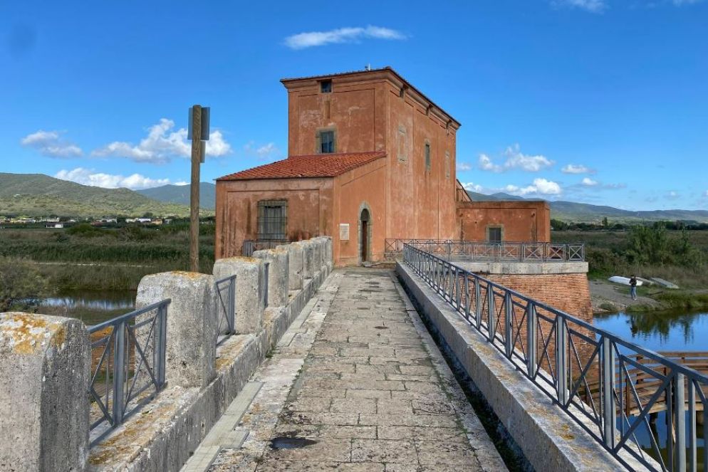 La riserva della Diaccia Botrona - Toscana Promozione Turistica