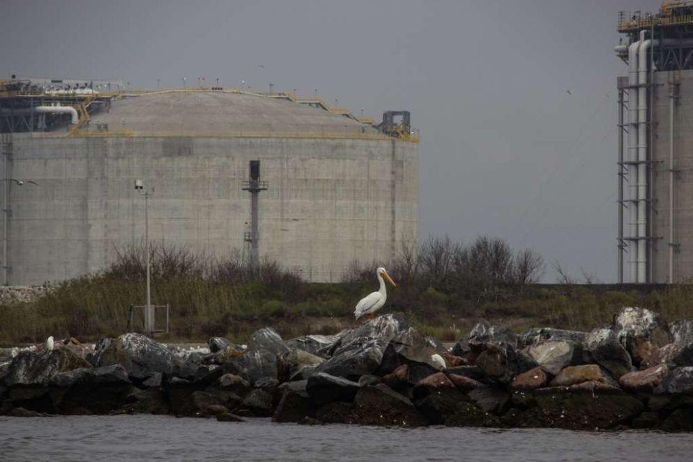 Carlo Dojmi di Delupis/ReCommon