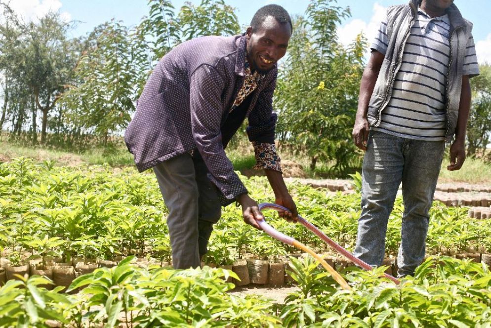 Canne per bagnare i campi in Etiopia - Cefa